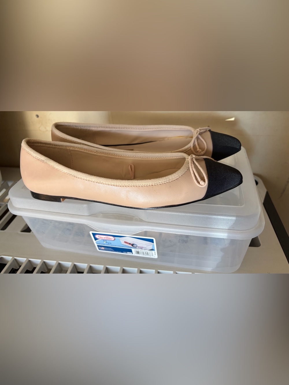 Zara Blush and Black Pointed Toe Ballet Flats with Bow